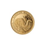 Zlatá investiční mince Africká divočina Somálský slon 31,1 gramu (1 Oz) – přední strana