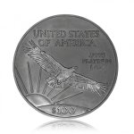 Platinová investiční mince American Eagle 31,1 g - první strana