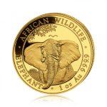 Zlatá investiční mince Africká divočina Somálský slon 31,1 g (1 Oz) - první strana