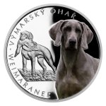 Stříbrná mince Psí plemena - Výmarský ohař proof 31,1 g - obrázek 2