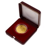 Zlatá mince 5000 Kč Městská památková rezervace Litoměřice 2022 STANDARD 15,55 g - obrázek 4