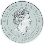 Platinová investiční mince Australská Lunární Série III. 2023 Králík 31,1 g - objednávka 2