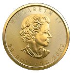 Zlatá investiční mince Maple Leaf 31,1 gramu – obrázek 2