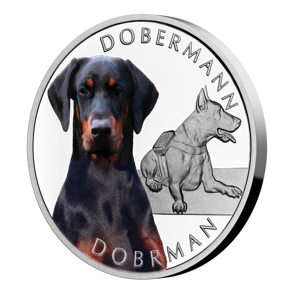 Stříbrná mince Psí plemena - Dobrman proof – obrázek 1