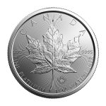 Platinová investiční mince Maple Leaf 31,1 g (1 Oz) – obrázek 1