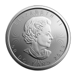 Platinová investiční mince Maple Leaf 31,1 g (1 Oz) – obrázek 2