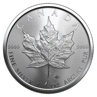 Stříbrná investiční mince Maple Leaf 31,1 gramu (1 Oz) – obrázek 1