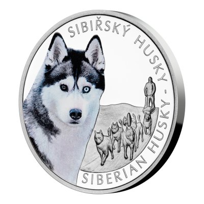 Stříbrná mince Psí plemena - Sibiřský husky proof – obrázek 1