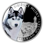 Stříbrná mince Psí plemena - Sibiřský husky proof – obrázek 2