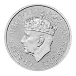 Stříbrná investiční mince Coronation of His Majesty KCIII 2023 31,1 g (1 Oz)