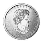 Paládiová investiční mince Maple Leaf 31,1 g – obrázek 2