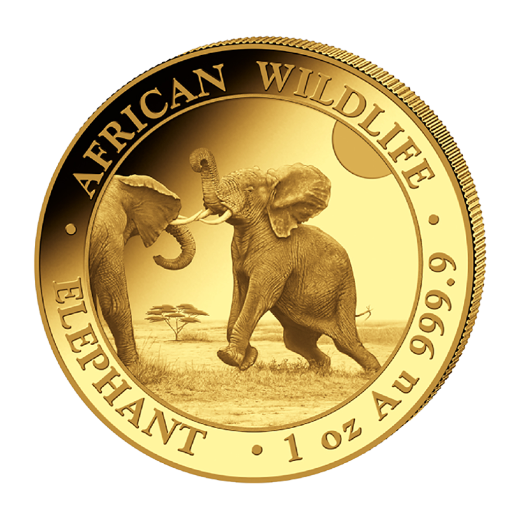 Zlatá investiční mince Africká divočina Somálský slon 31,1 g - obrázek 1