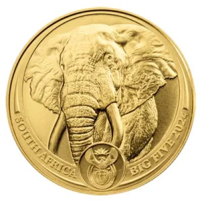 Zlatá investiční mince Big Five Elefant 31,1 g - obrázek 1