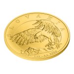 Sada dvou zlatých uncových investičních mincí Český lev a Orel 2024 stand – obrázek 7