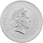 Platinová investiční mince Koala 15,55 g - obrázek 2