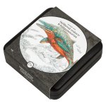 Stříbrná mince Pravěký svět - Ichthyosaurus – obrázek 4