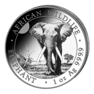 Stříbrná mince 1 Oz Africká divočina Somálský slon 2025 – obrázek 1
