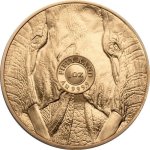 Zlatá mince 1 Oz Big Five Elefant 2024 – obrázek 2