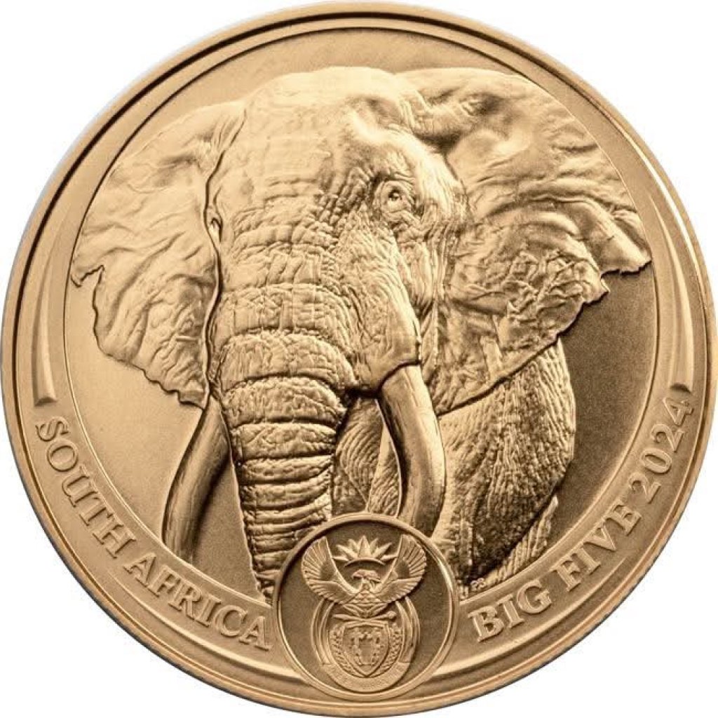 Zlatá mince 1 Oz Big Five Elefant 2024 – obrázek 1