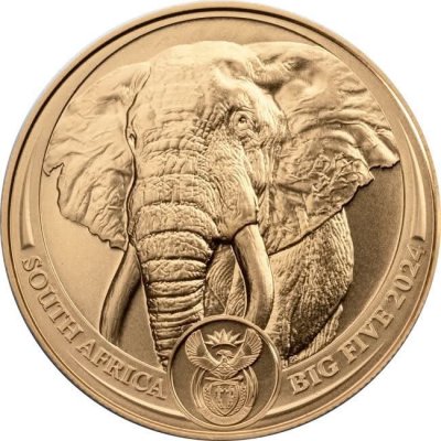 Zlatá mince 1 Oz Big Five Elefant 2024 – obrázek 1