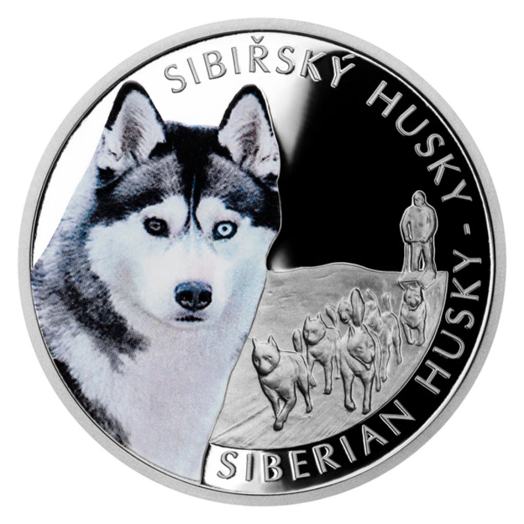 Stříbrná mince Psí plemena - Sibiřský husky proof