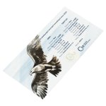 Sada dvou stříbrných 1oz investičních mincí Český lev a Orel 2025 stand – obrázek 9