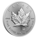 Stříbrná mince 10 kg Maple Leaf - obrázek 4