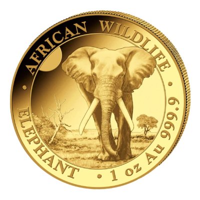 Zlatá mince 1 Oz Africká divočina Somálský slon 2026 - obrázek 1