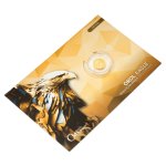 Zlatá 1/25oz investiční mince Orel 2025 stand číslovaný - obrázek 6