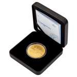 Zlatý pětidukát ČR 2026 - Karel IV. rytíř stand - obrázek 5