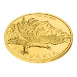 Sada dvou zlatých 1oz investičních mincí Český lev a Orel 2026 stand - obrázek 5