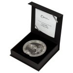 Stříbrná kilogramová investiční mince Orel 2024 vysoký reliéf stand - obrázek 6