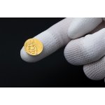 Zlatá 1/200oz investiční mince Český lev 2026 inkusní ražba stand - obrázek 4