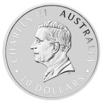 Stříbrná mince 10 Oz Koala - obrázek 1